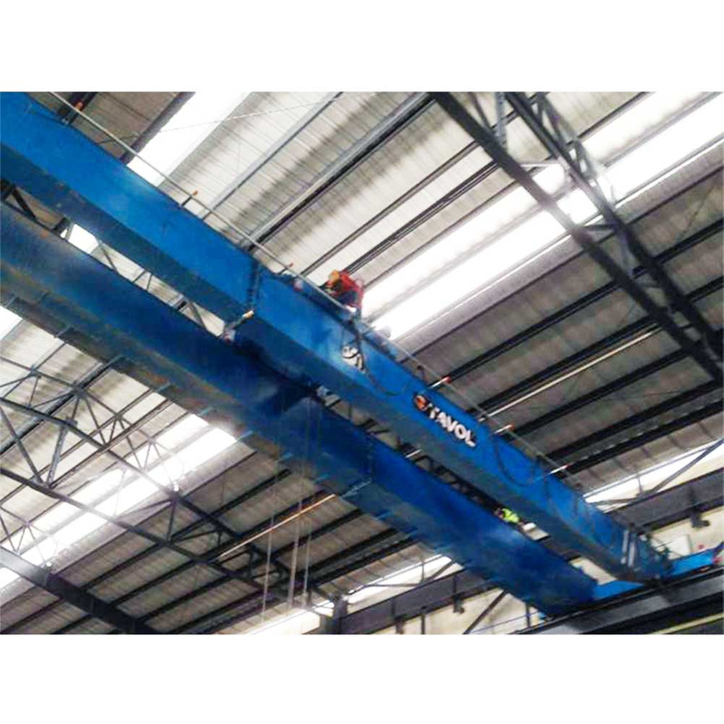 Tavol Brand LH Model Double Beam Brange Crane Populate Sale с хорошей ценой 